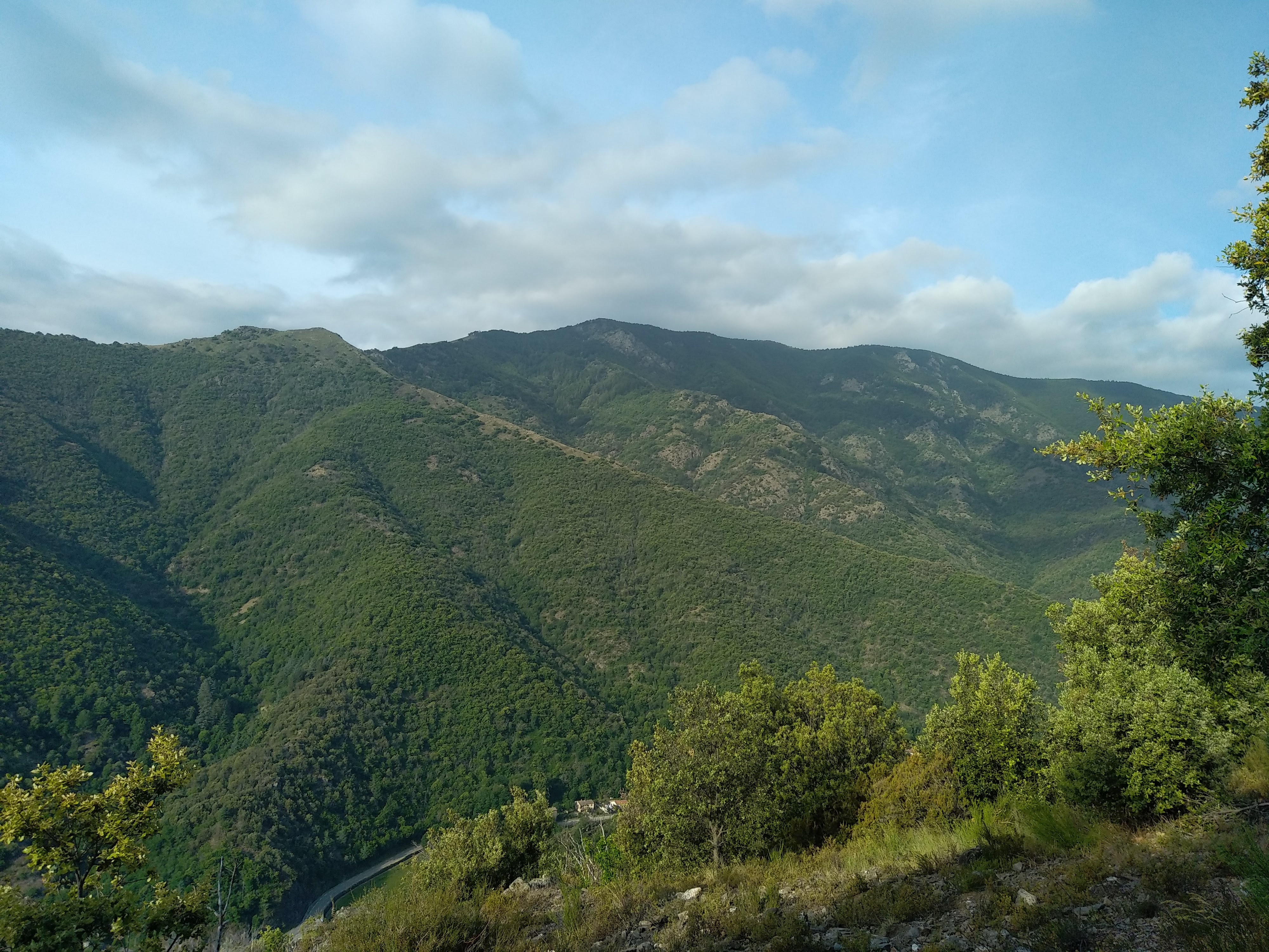 Photo n° 6 de l'avis de Julien.a fait le 10/01/2023 à 18:45