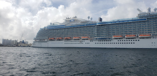 Tourist Attraction «Water Taxi Stop #5», reviews and photos, 1881 SE 17th St, Fort Lauderdale, FL 33316, USA