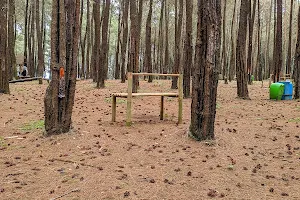 Taman Pinus Cigore image