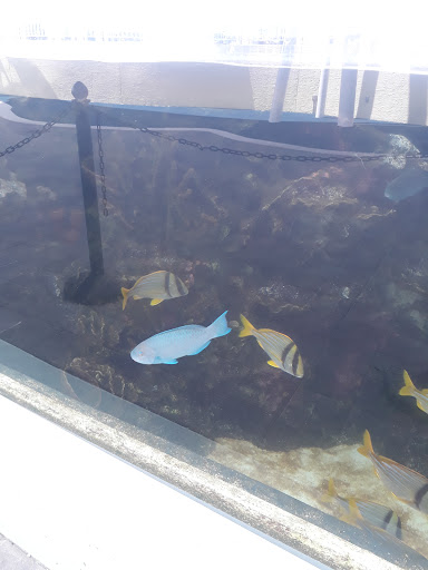 Animal Hospital «Loggerhead Marinelife Center», reviews and photos, 14200 U.S. Hwy 1, Juno Beach, FL 33408, USA