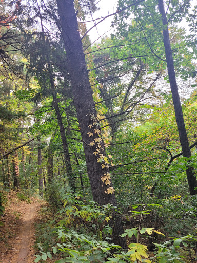 Park «Quaking Bog», reviews and photos, Theodore Wirth Pkwy, Minneapolis, MN 55411, USA