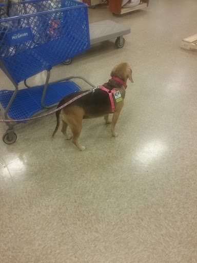 Pet Supply Store «PetSmart», reviews and photos, 28533 Marlboro Ave, Easton, MD 21601, USA