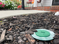 Bust-A-Bug Pest & Crawlspace Solutions - Photo 6 - Car repair in Chesapeake, VA, Chesapeake