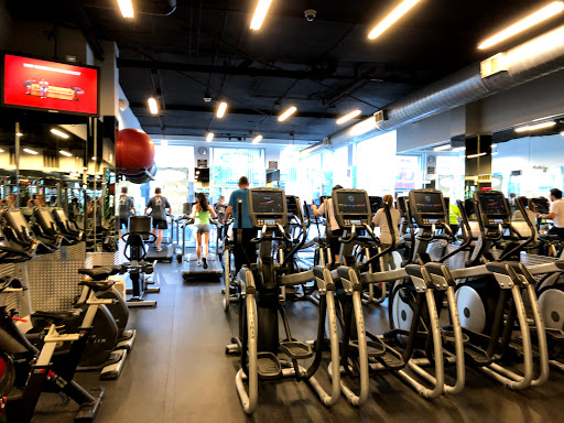 Gym «Wicker Park Fitness», reviews and photos, 1735 W Division St #1, Chicago, IL 60622, USA