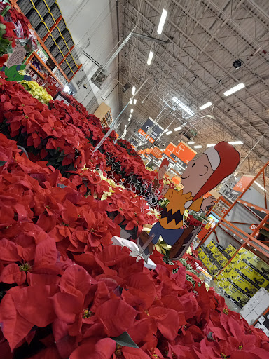 Home Improvement Store «The Home Depot», reviews and photos, 4710 S Expressway 83, Harlingen, TX 78552, USA