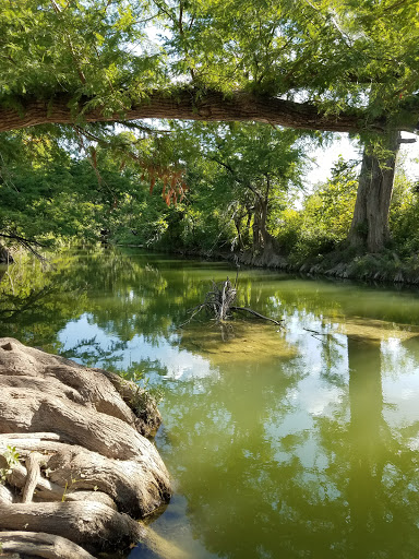 Beautiful parks in Austin