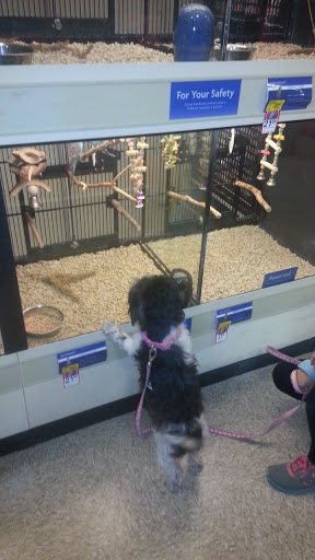 Pet Supply Store «PetSmart», reviews and photos, 45 Park Pl Dr, Covington, LA 70433, USA