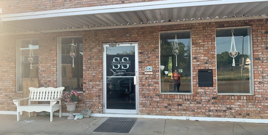 Sassy Scissors 39168