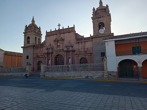 Viñedo Ayacucho