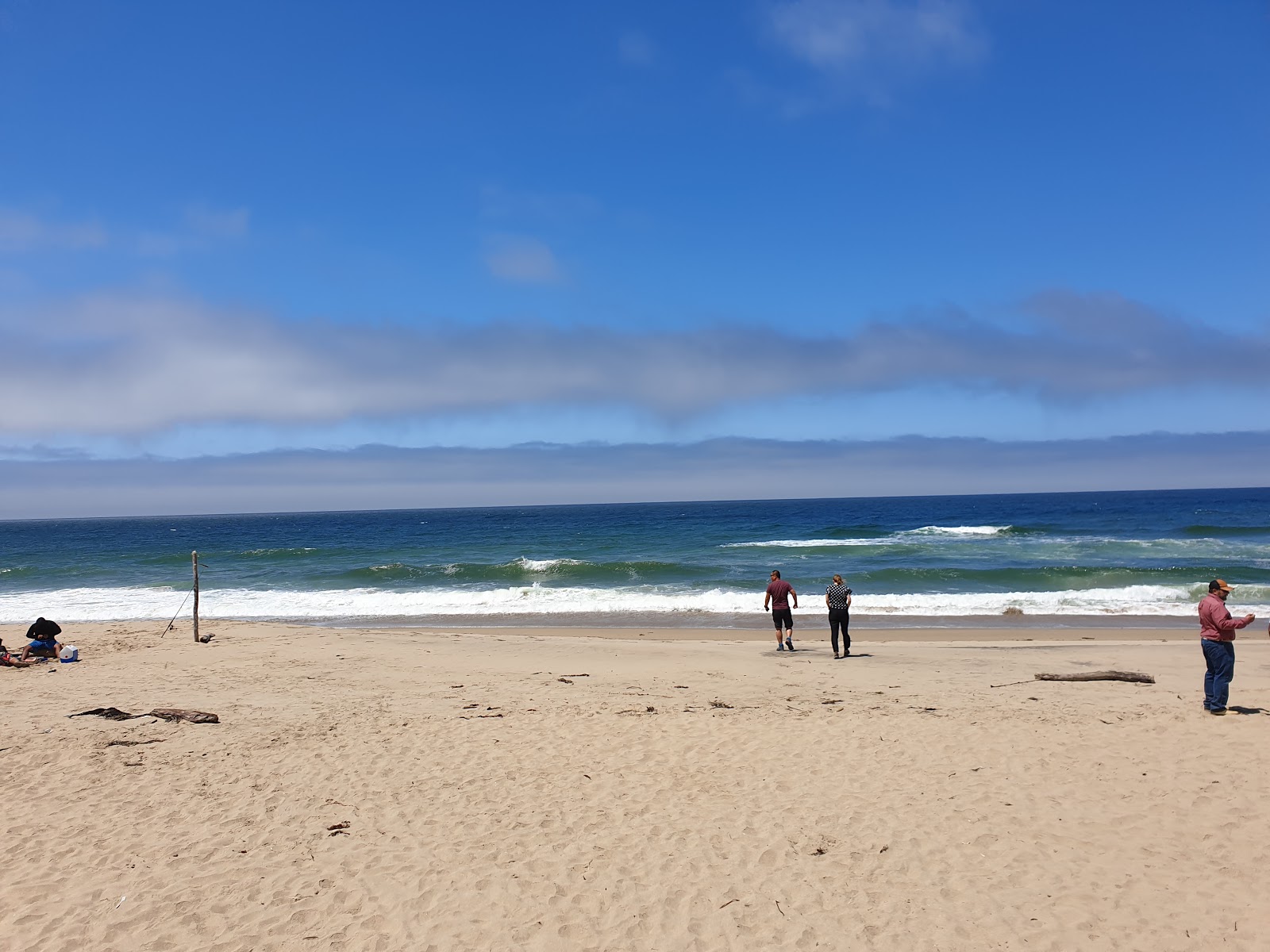 Photo of Pomponio Beach with very clean level of cleanliness