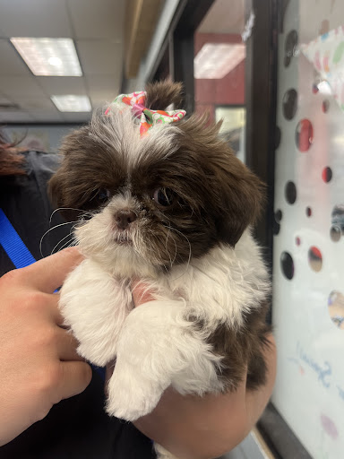 Pet Supply Store «PetSmart», reviews and photos, 5418 E 41st St, Tulsa, OK 74135, USA