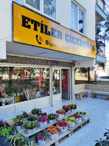Antalya Etiler Çiçekçilik logo