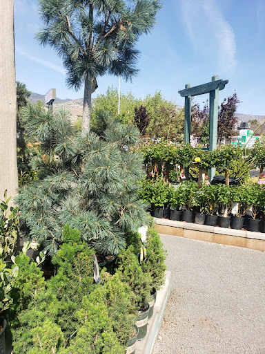 Home Improvement Store «Lake Isabella True Value», reviews and photos, 6050 Lake Isabella Blvd, Lake Isabella, CA 93240, USA