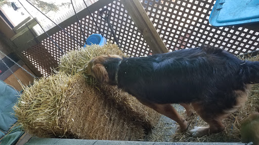 Pet Supply Store «Petco Animal Supplies», reviews and photos, 200 McMahan Blvd, Marion, OH 43302, USA