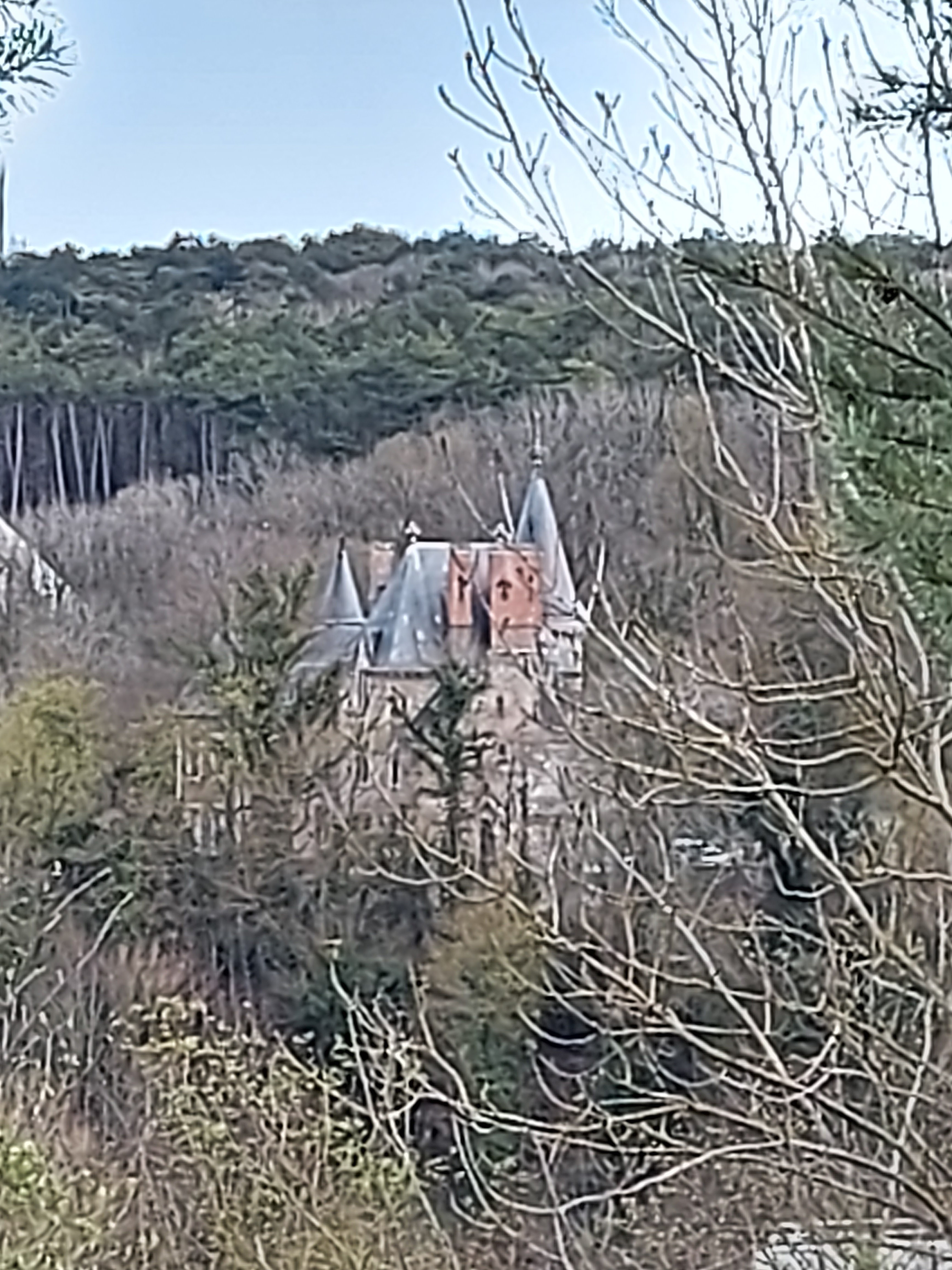 Photo n° 6 de l'avis de Michèle.t fait le 09/04/2021 à 17:13