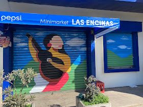 Minimarket Las Encinas