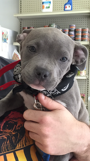 Pet Groomer «Soggy Dog Grooming And Pet Supplies», reviews and photos, 344 E 4th St, Long Beach, CA 90802, USA