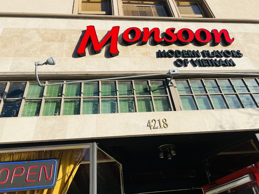 Monsoon 94611