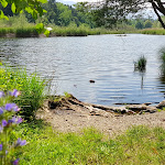 Photo n°2 de l'avis de Sabine.e fait le 25/06/2022 à 13:30 sur le  Vahrner See à Vahrn