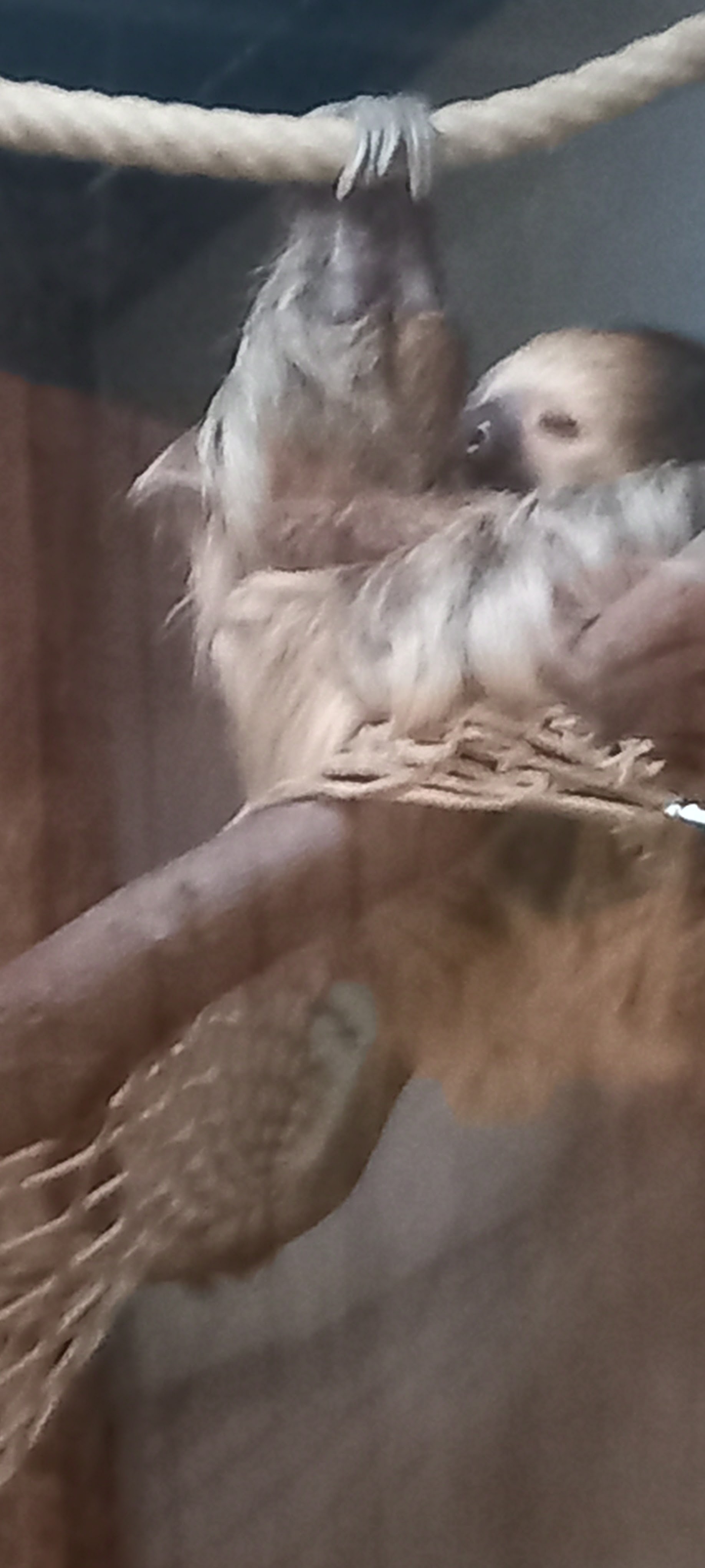 Photo n° 10 de l'avis de Laurent.e fait le 20/09/2023 à 12:16