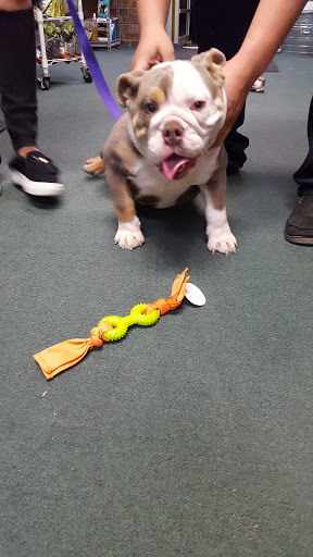 Pet Supply Store «Wichita Pet Supply», reviews and photos, 4006 Call Field Rd # A, Wichita Falls, TX 76308, USA