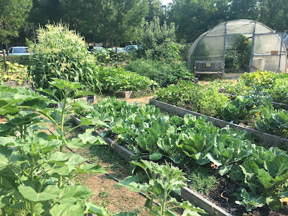 Albina Cooperative Garden