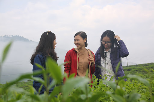 Top 20 cửa hàng thịt sạch Huyện Đông Giang Quảng Nam 2022