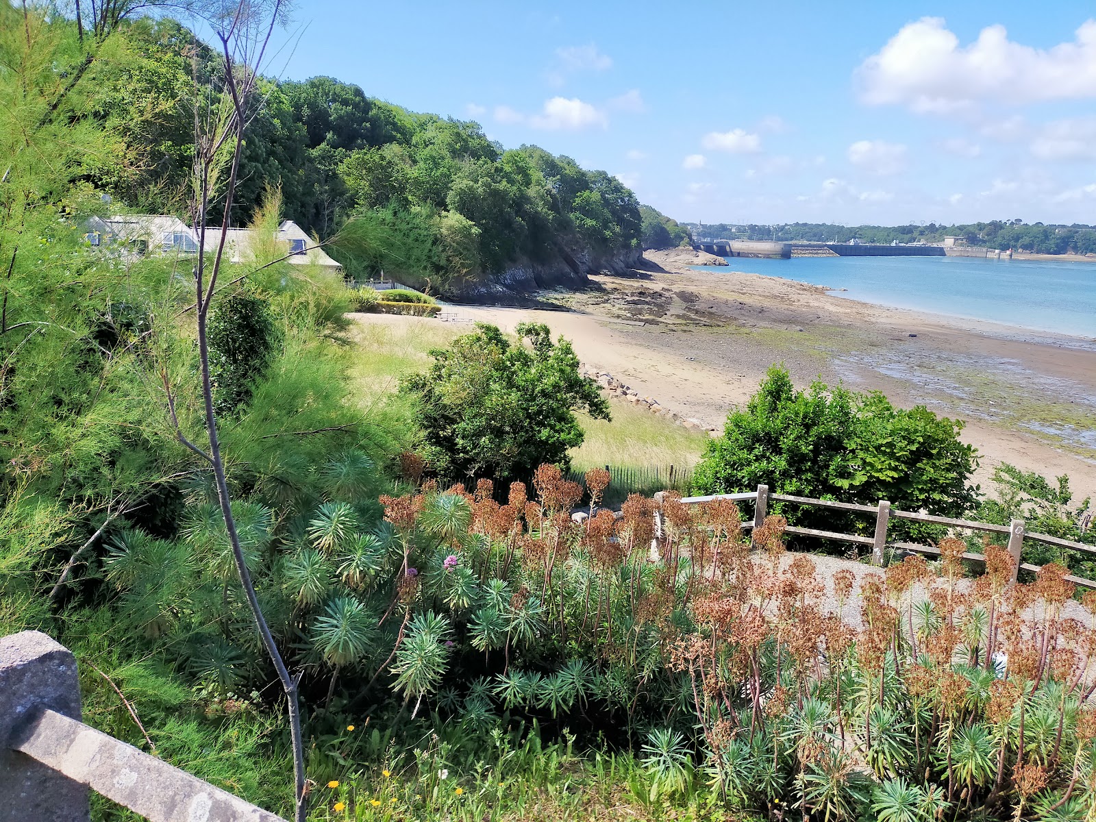 Plage du Rosais'in fotoğrafı çok temiz temizlik seviyesi ile