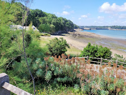 Plage du Rosais'in fotoğrafı çok temiz temizlik seviyesi ile