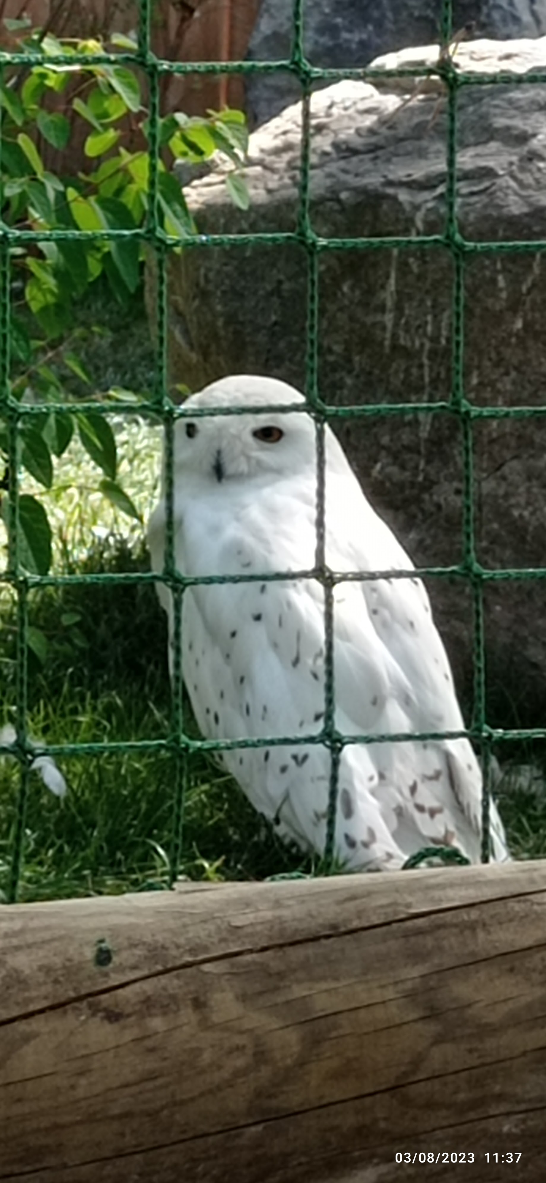 Photo n° 1 de l'avis de Audrey. fait le 09/08/2023 à 07:19