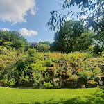 Photo n° 40 de l'avis de Amoarii.P fait le 15/06/2023 à 20:40 pour Jardin de Berchigranges à Granges-Aumontzey
