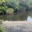 Woodhaugh Garden Pond