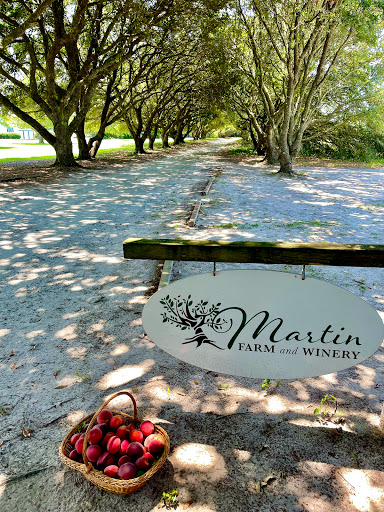 Vineyard «Martin Vineyards», reviews and photos, 213 Martin Farm Ln, Knotts Island, NC 27950, USA