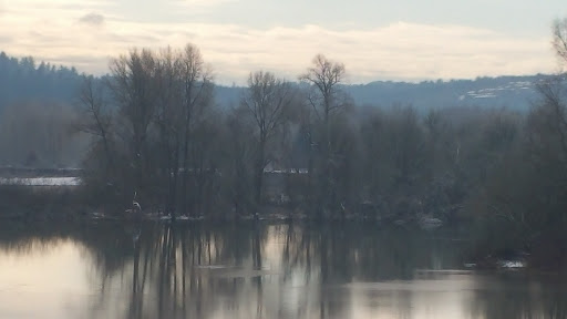 Tattoo Shop «Hot Rod Betties Tattoo», reviews and photos, 940 Edgewater St NW, Salem, OR 97304, USA