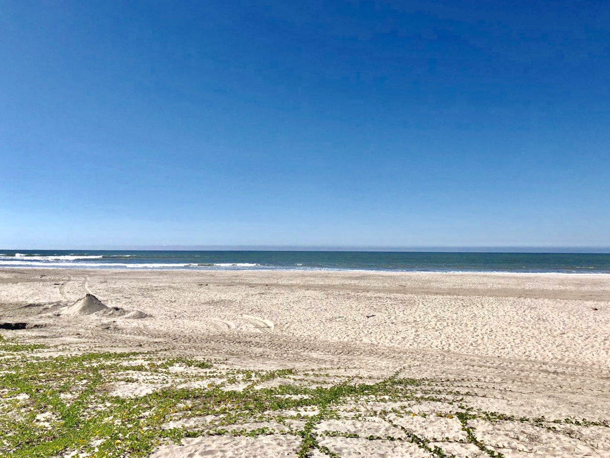 Foto de Celestino beach com água turquesa superfície