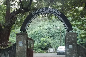 Doongerwadi image