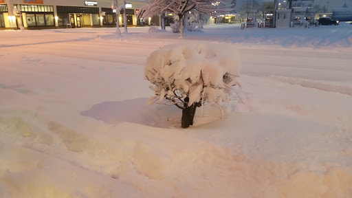 Coffee Shop «No Wave Coffee», reviews and photos, 7510 N Portsmouth Ave, Portland, OR 97203, USA