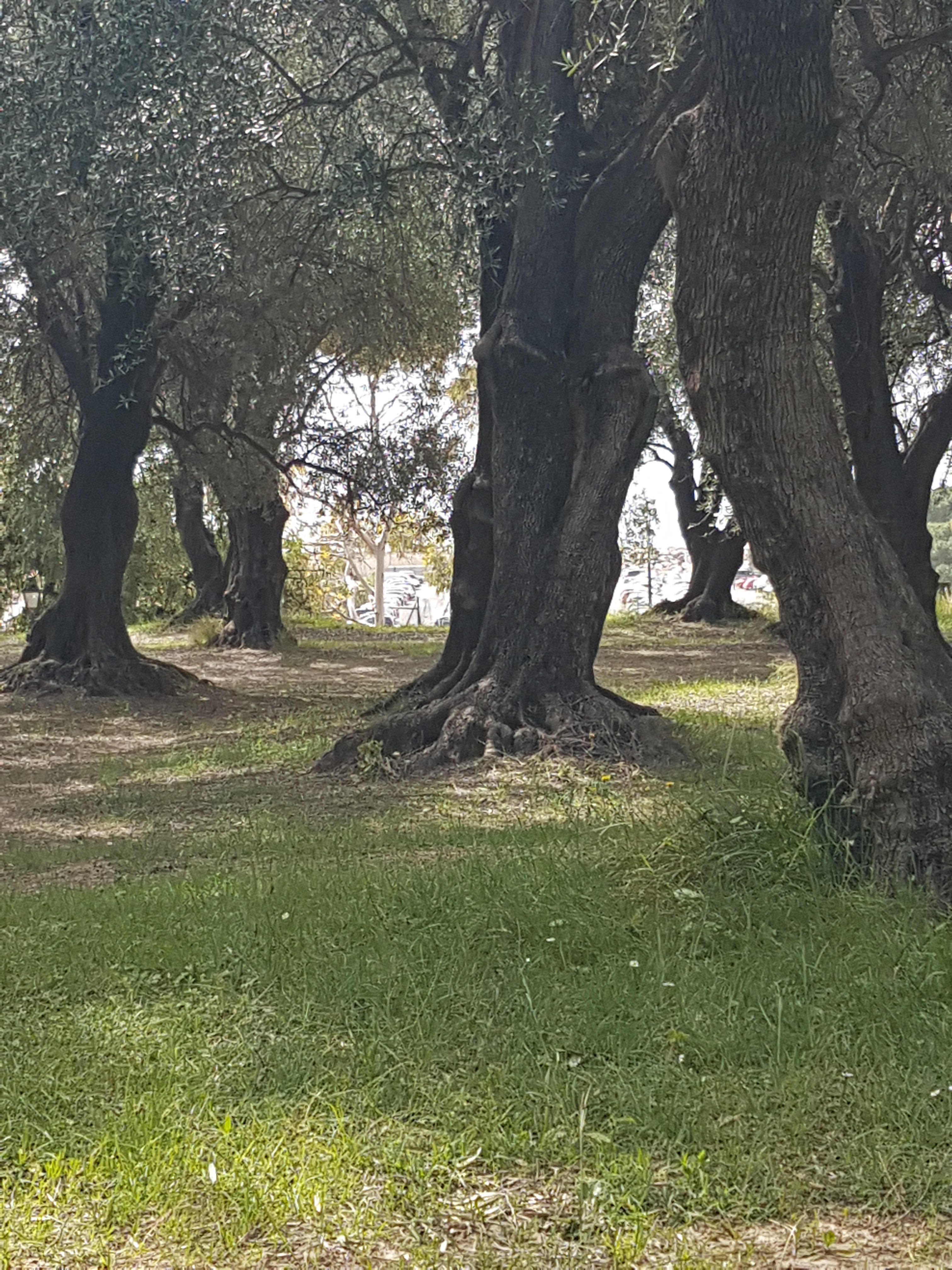 Photo n° 4 de l'avis de Sylvie.o fait le 23/04/2019 à 15:32