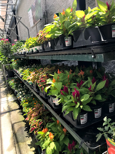 Department Store «Walmart», reviews and photos, 2500 W Broward Blvd, Fort Lauderdale, FL 33312, USA