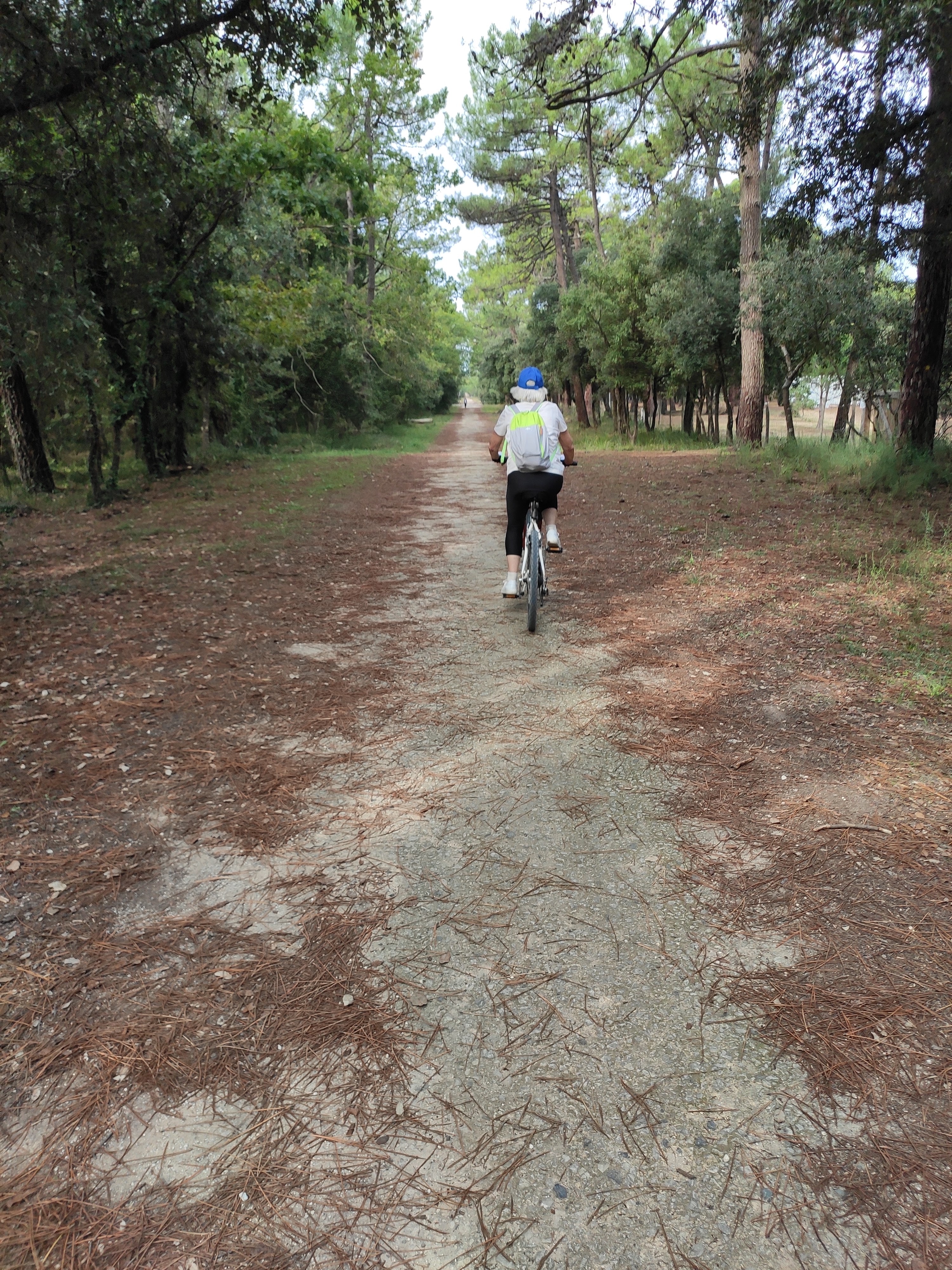 Photo n° 5 de l'avis de Louis. fait le 01/10/2023 à 19:54