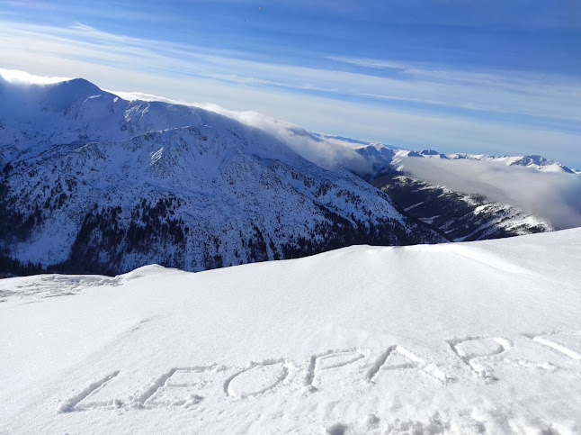 Comentarii opinii despre Leopard TSL Poland Radosław Kwiatkowski