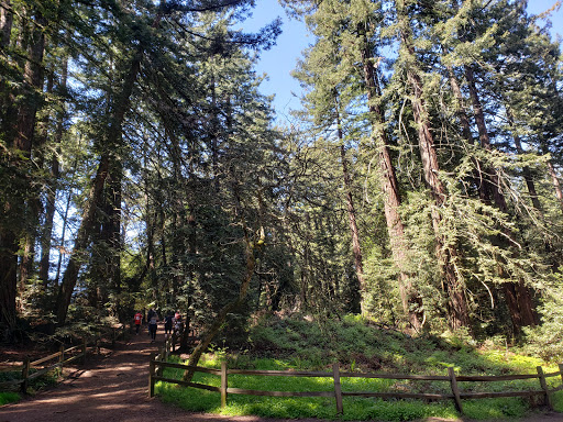 Park «Redwood Regional Park», reviews and photos, 7867 Redwood Road, Oakland, CA 94619, USA