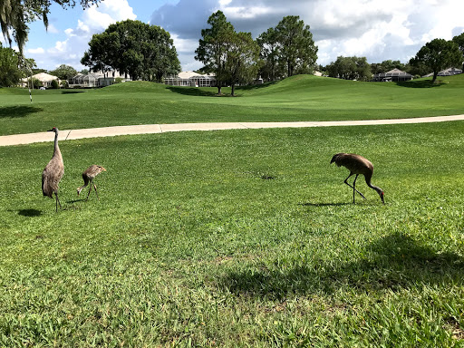 Country Club «Rosedale Golf & Country Club», reviews and photos, 5100 87th St E, Bradenton, FL 34211, USA