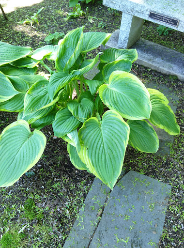 Heritage Museum «Heritage Museums & Gardens», reviews and photos, 67 Grove St, Sandwich, MA 02563, USA