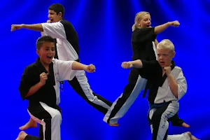 Atomic Black Belt Academy image