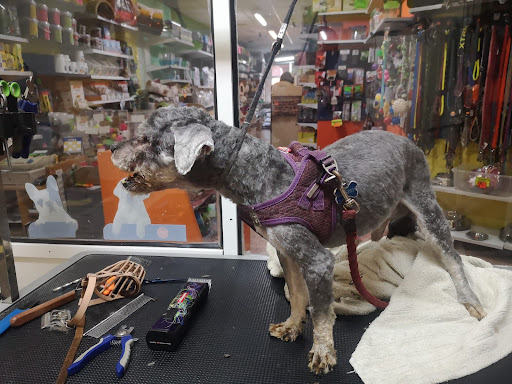 Mi Mascota en L'Hospitalet de Llobregat, Barcelona
