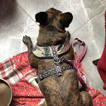 Photo n°2 de l'avis de Daniela.e fait le 19/09/2022 à 11:54 sur le  Café O'LaLa à Bad Füssing