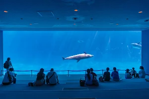 Port Of Nagoya Public Aquarium image