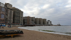 Saraya Public Beach'in fotoğrafı geniş bir kıyı şeridi ile birlikte