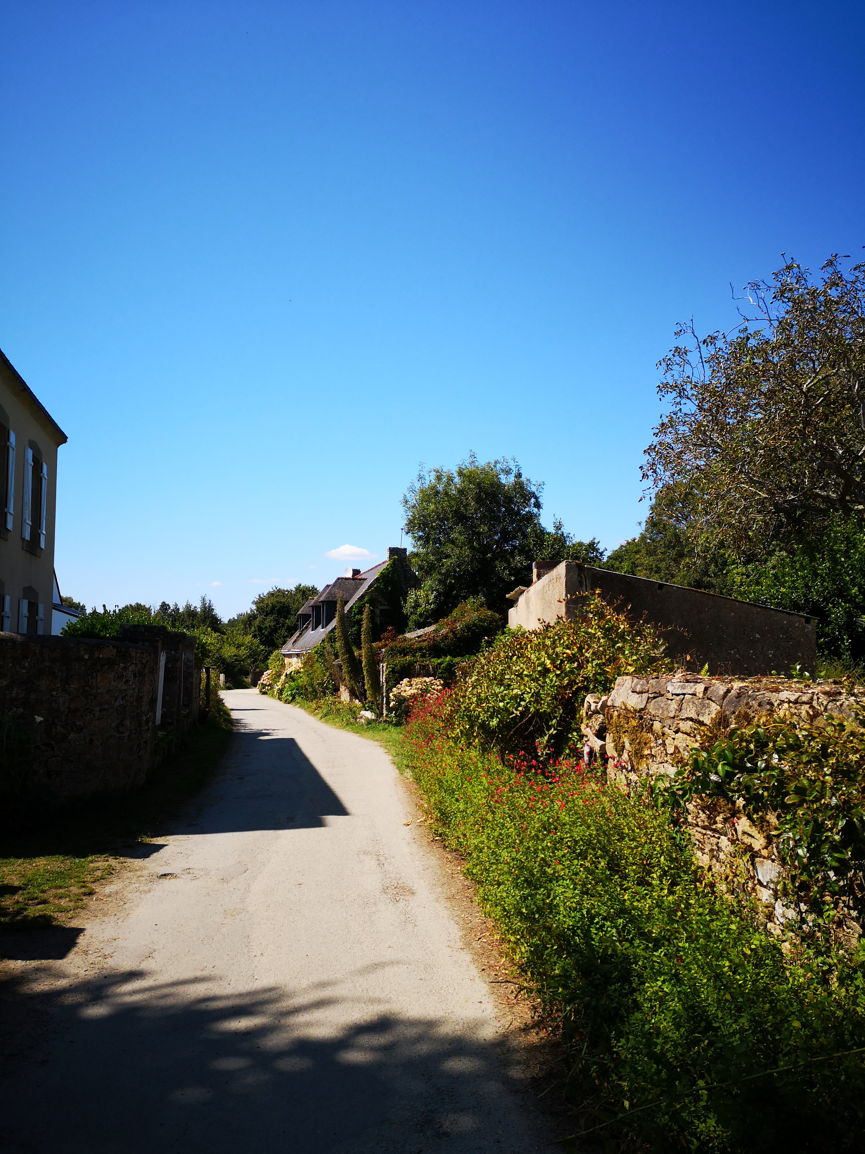 Photo n° 2 de l'avis de François.o fait le 22/08/2019 à 13:00